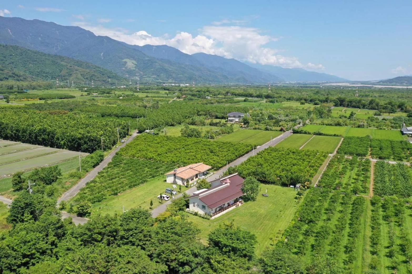 台東鹿野森活 訂房後來電確認 Apartamento Exterior foto